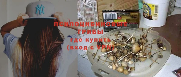 амф Алзамай