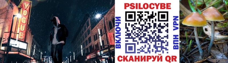 блэк спрут маркетплейс  где купить наркоту  Неман  площадка Telegram  Псилоцибиновые грибы мицелий 